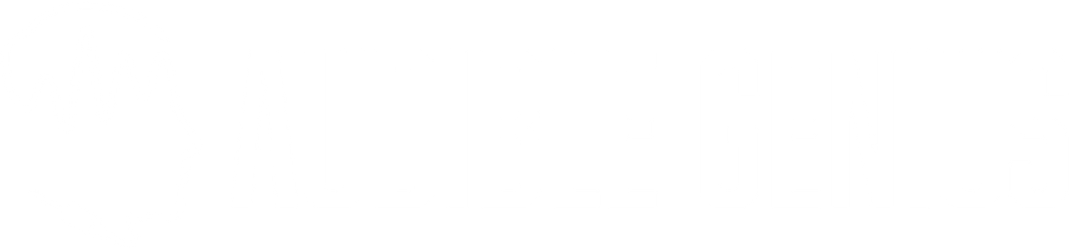 Audible Genius